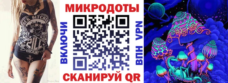 закладки  Кочубеевское  Псилоцибиновые грибы мицелий 