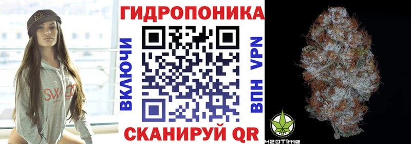 купить наркоту  Кочубеевское  Бошки марихуана Ganja 
